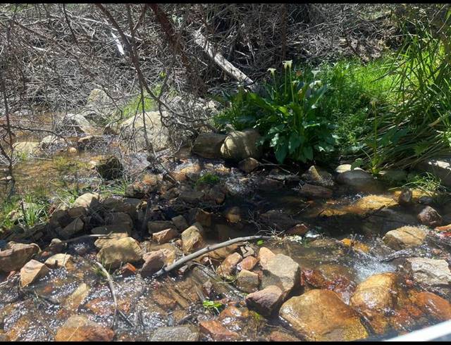 FARM FOR SALE IN GEORGE RURAL